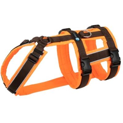 anny-x Brustgeschirr Safety Protect Farbe Leuchtorange-Braun Sicherheits-Hundegeschirr Größe S (Brustumfang 52-64 cm) anny-x Brustgeschirr Safety Protect Farbe Leuchtorange-Braun Sicherheits-Hundegeschirr Größe S (Brustumfang 52-64 cm)