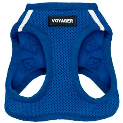 Best Pet Supplies Voyager Step-In Air Hundegeschirr – Allwetter-Netzgewebe-Weste für kleine und mittelgroße Hunde – Königsblau (passender Rand), XXS (Brustumfang: 29,2–33 cm) Best Pet Supplies Voyager Step-In Air Hundegeschirr – Allwetter-Netzgewebe-Weste für kleine und mittelgroße Hunde – Königsblau (passender Rand), XXS (Brustumfang: 29,2–33 cm)