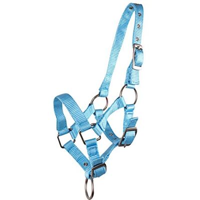 QHP Fohlenhalfter Halfter für Fohlen – Verstellbares Kopfstück für sicheren Halt – Nylon, 4 Größen, 6 Farben QHP Fohlenhalfter Halfter für Fohlen – Verstellbares Kopfstück für sicheren Halt – Nylon, 4 Größen, 6 Farben