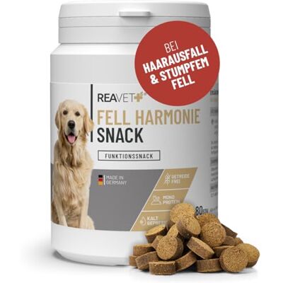 ReaVET Fellpflege Leckerlis Hund – Getreidefreier Hundesnack mit Lachsöl, Bierhefe & Kokosöl – Natürlicher Snack mit Omega-3-Fettsäuren, ideal für Fell & Hautpflege, Fellwechsel I 170 g (80 Stück) ReaVET Fellpflege Leckerlis Hund – Getreidefreier Hundesnack mit Lachsöl, Bierhefe & Kokosöl – Natürlicher Snack mit Omega-3-Fettsäuren, ideal für Fell & Hautpflege, Fellwechsel I 170 g (80 Stück)