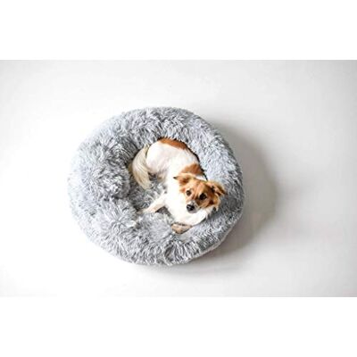 MB HOME BASIC Hundebett - Dreams 70x70x26 cm - Hundebett MB HOME BASIC Hundebett - Dreams 70x70x26 cm - Hundebett