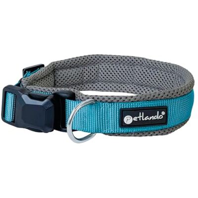 Petlando Hundehalsband mit innovativer Magnet-Schnalle, stufenlos verstellbar, weich gepolstert mit Mesh, atmungsaktiv, D-Ring, Magnetech Halsband für sehr kleine Hunde anthrazit/Petrol, XXXS Petlando Hundehalsband mit innovativer Magnet-Schnalle, stufenlos verstellbar, weich gepolstert mit Mesh, atmungsaktiv, D-Ring, Magnetech Halsband für sehr kleine Hunde anthrazit/Petrol, XXXS