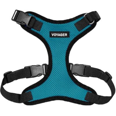 Best Pet Supplies Voyager Step-In Lock Haustiergeschirr – Allwetter-Netz, verstellbares Step-in-Geschirr für Katzen und Hunde – Türkis/Schwarzer Rand, M Best Pet Supplies Voyager Step-In Lock Haustiergeschirr – Allwetter-Netz, verstellbares Step-in-Geschirr für Katzen und Hunde – Türkis/Schwarzer Rand, M