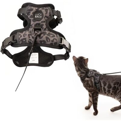 LucyBalu ® Explorer Katzengeschirr mit Leine – Leo M/L Brustgeschirr-Set mit AirTag-Fach, verstellbar, atmungsaktiv, für Freigang & Ausflüge LucyBalu ® Explorer Katzengeschirr mit Leine – Leo M/L Brustgeschirr-Set mit AirTag-Fach, verstellbar, atmungsaktiv, für Freigang & Ausflüge