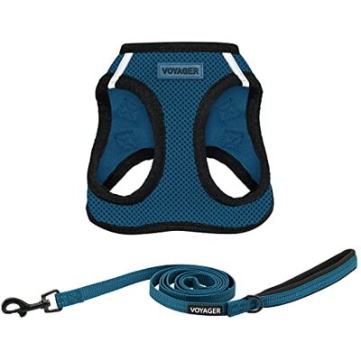 Best Pet Supplies Voyager Step-In Air Allwetter-Netzgeschirr und reflektierender Hunde-Leine, Kombination mit Neoprengriff, für kleine, mittelgroße und große Welpen, von – Blau/Schwarzer Rand, Größe Best Pet Supplies Voyager Step-In Air Allwetter-Netzgeschirr und reflektierender Hunde-Leine, Kombination mit Neoprengriff, für kleine, mittelgroße und große Welpen, von – Blau/Schwarzer Rand, Größe
