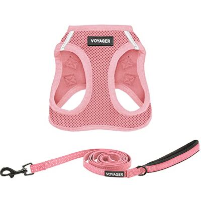 Best Pet Supplies Voyager Allwetter-Mesh-Geschirr und reflektierende Hundeleine, 1,52 m, mit Neoprengriff, für kleine, mittelgroße und große Welpen, Rosa, Größe S Best Pet Supplies Voyager Allwetter-Mesh-Geschirr und reflektierende Hundeleine, 1,52 m, mit Neoprengriff, für kleine, mittelgroße und große Welpen, Rosa, Größe S