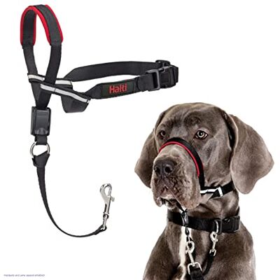 Company Of Animals Optifit Headcollar - Große Hundekopfgurtel zum Ziehen stoppen Company Of Animals Optifit Headcollar - Große Hundekopfgurtel zum Ziehen stoppen