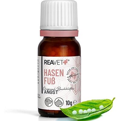 ReaVET Bachblüten Globuli für Hunde und Katzen Hasenfuß 10g I Bachblüten für Haustiere nach Dr. Bach I Zur natürlichen Unterstützung bei ungewohnten, negativen Situationen ReaVET Bachblüten Globuli für Hunde und Katzen Hasenfuß 10g I Bachblüten für Haustiere nach Dr. Bach I Zur natürlichen Unterstützung bei ungewohnten, negativen Situationen