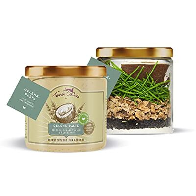 Terra Canis Gelenk-Paste mit Kokosöl, Kollagen, Glucosamin, Schachtelhalm & Teufelskralle, 250ml I Premium Hunde-Nahrungsergänzung zur Unterstützung eines gesunden Bewegungsablaufes Terra Canis Gelenk-Paste mit Kokosöl, Kollagen, Glucosamin, Schachtelhalm & Teufelskralle, 250ml I Premium Hunde-Nahrungsergänzung zur Unterstützung eines gesunden Bewegungsablaufes
