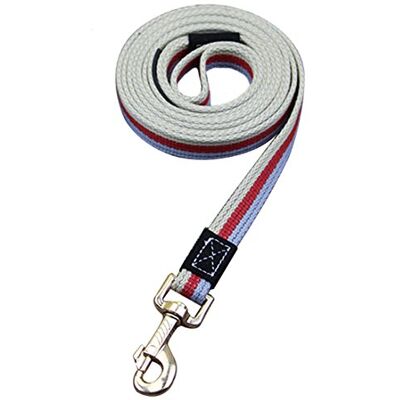 feiling Hundeleine aus Leinwand Robuste Hundeführleine Geflochten 2 Meter Trainingsleine Pet Leads Walking Leine Patchwork Leash für Mittelgroße Grosse Hunde (rot) feiling Hundeleine aus Leinwand Robuste Hundeführleine Geflochten 2 Meter Trainingsleine Pet Leads Walking Leine Patchwork Leash für Mittelgroße Grosse Hunde (rot)