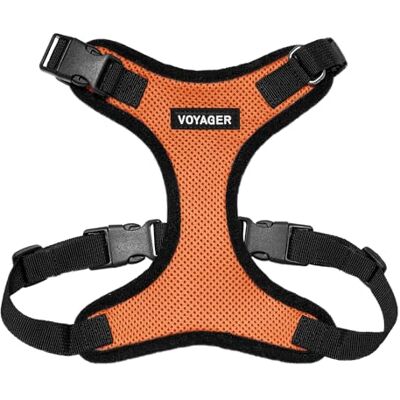 Best Pet Supplies Voyager Step-In Lock Haustiergeschirr – Allwetter-Netz, verstellbares Step-in-Geschirr für Katzen und Hunde – orange/schwarzer Rand, M Best Pet Supplies Voyager Step-In Lock Haustiergeschirr – Allwetter-Netz, verstellbares Step-in-Geschirr für Katzen und Hunde – orange/schwarzer Rand, M