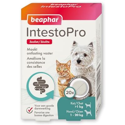Beaphar 14126 IntestoPro Katze/Hund bis 20kg Hilft Darmprobleme bei Hunden und Katzen zu lindern mit Zeolith, um den Stuhl Fester zu Machen mit FOS und MOS für eine Gute Darmfunktion Beaphar 14126 IntestoPro Katze/Hund bis 20kg Hilft Darmprobleme bei Hunden und Katzen zu lindern mit Zeolith, um den Stuhl Fester zu Machen mit FOS und MOS für eine Gute Darmfunktion
