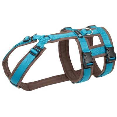 anny-x Brustgeschirr Safety Fun Braun-Petrol Ausbruchsicheres Hundegeschirr mit Taillengurt Größe S (Brustumfang 52-64 cm) anny-x Brustgeschirr Safety Fun Braun-Petrol Ausbruchsicheres Hundegeschirr mit Taillengurt Größe S (Brustumfang 52-64 cm)