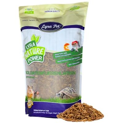 Lyra Pet ® 1 kg Soldatenfliegenlarven getrocknet Hermetia Illucens Black Soldier Fly wie Mehlwürmer reich an Kalzium & Proteinen energiereiches Futter für Vögel, Fische, Nager & Reptilien Lyra Pet ® 1 kg Soldatenfliegenlarven getrocknet Hermetia Illucens Black Soldier Fly wie Mehlwürmer reich an Kalzium & Proteinen energiereiches Futter für Vögel, Fische, Nager & Reptilien