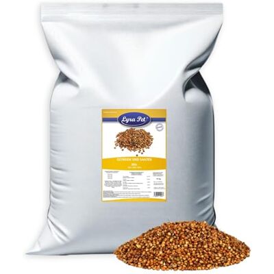 Lyra Pet ® 10 kg Milo Vogelfutter Ergänzung für Wildvögel Sorghum Hirse Reich an Kohlenhydraten Nährstoffreiches, ganzjähriges Vogelfutter Energiequelle für Wildvögel & Kleinnager Lyra Pet ® 10 kg Milo Vogelfutter Ergänzung für Wildvögel Sorghum Hirse Reich an Kohlenhydraten Nährstoffreiches, ganzjähriges Vogelfutter Energiequelle für Wildvögel & Kleinnager