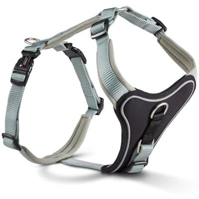 WOLTERS Geschirr Professional Comfort, Größe:27-32 cm, Farbe:Salbei grün WOLTERS Geschirr Professional Comfort, Größe:27-32 cm, Farbe:Salbei grün