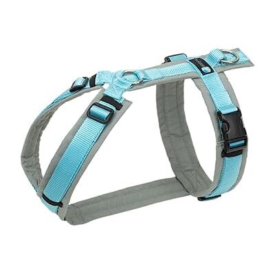 anny-x Brustgeschirr Fun Grau-Eisblau Hundegeschirr Größe L-Lang (Brustumfang 70-86 cm) anny-x Brustgeschirr Fun Grau-Eisblau Hundegeschirr Größe L-Lang (Brustumfang 70-86 cm)