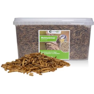 Carpline24 Getrocknete Mehlwürmer 1 kg Proteinreiche Insekten als Futter für Reptilien, Nager, Igel & Fische, Vogelfutter, Winterfutter Carpline24 Getrocknete Mehlwürmer 1 kg Proteinreiche Insekten als Futter für Reptilien, Nager, Igel & Fische, Vogelfutter, Winterfutter