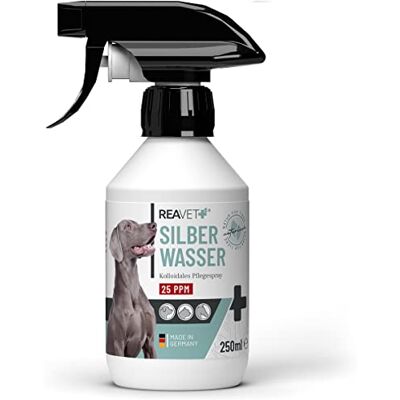 ReaVET Silberspray Hund & Pferde 250ml kolloidales Silber 25 PPM Pferd, Sprühpflaster für Hunde, Hautpflege bei Juckreiz, Pilze & Bakterien, Colloidal Silver für Haustiere, Silberwasser Spray ReaVET Silberspray Hund & Pferde 250ml kolloidales Silber 25 PPM Pferd, Sprühpflaster für Hunde, Hautpflege bei Juckreiz, Pilze & Bakterien, Colloidal Silver für Haustiere, Silberwasser Spray