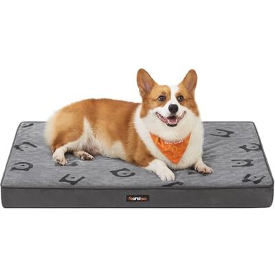 Feandrea - PGW241G01 - L 76x51x8 cm - Waben-Schaum - Hundebett Feandrea - PGW241G01 - L 76x51x8 cm - Waben-Schaum - Hundebett