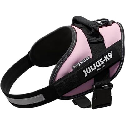 Julius-K9 Pink Hundehalsband - Ergonomisches Sportdesign Julius-K9 Pink Hundehalsband - Ergonomisches Sportdesign