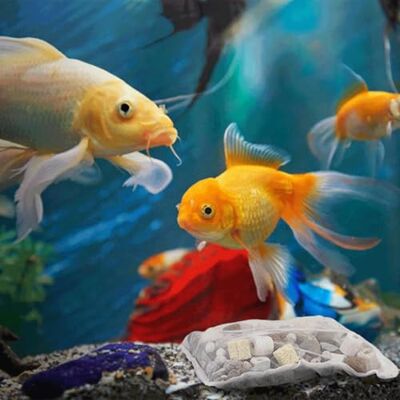 Patapalooza 12-in-1 Filterelement für Aquarien, mit Mehreren Reinigungsfunktionen und Verbesserung der Wasserqualität, ideal für die Erhaltung eines gesunden Aquariums. Patapalooza 12-in-1 Filterelement für Aquarien, mit Mehreren Reinigungsfunktionen und Verbesserung der Wasserqualität, ideal für die Erhaltung eines gesunden Aquariums.
