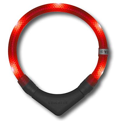 Leuchtie Leuchthalsband Plus Gr.35 - Hundehalsband & Leine Leuchtie Leuchthalsband Plus Gr.35 - Hundehalsband & Leine