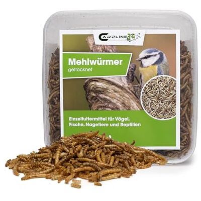 Carpline24 Mehlwürmer getrocknet, 2000 ml, proteinreiche Insekten als Futter für Reptilien, Nager, Igel & Fische, Vogelfutter, Winterfutter Carpline24 Mehlwürmer getrocknet, 2000 ml, proteinreiche Insekten als Futter für Reptilien, Nager, Igel & Fische, Vogelfutter, Winterfutter