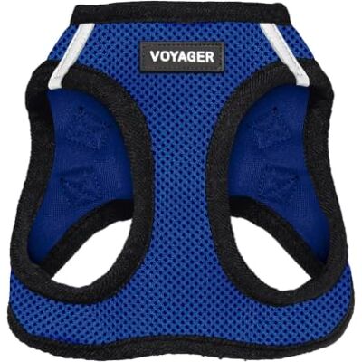 Best Pet Supplies Voyager Step-In Air Hundegeschirr, Allwetter-Netzgewebe, reflektierend, kein Ziehen, kleine, mittelgroße Hunde, Katzen, mit Klettverschluss, Schnalle, Doppel-D-Ringe, Königsblau/Schwarzer Rand XXS Best Pet Supplies Voyager Step-In Air Hundegeschirr, Allwetter-Netzgewebe, reflektierend, kein Ziehen, kleine, mittelgroße Hunde, Katzen, mit Klettverschluss, Schnalle, Doppel-D-Ringe, Königsblau/Schwarzer Rand XXS