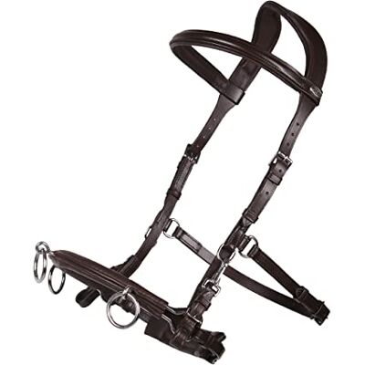 QHP Halfter Pferd Kappzaum aus Leder Anatomisch geformt Verwendbar als Kappzaum und Trense Angenehmes Tragen (Braun, Cob) QHP Halfter Pferd Kappzaum aus Leder Anatomisch geformt Verwendbar als Kappzaum und Trense Angenehmes Tragen (Braun, Cob)