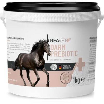 ReaVET Darm Prebiotic 1kg für Pferde zur Unterstützung der Darmflora & Verdauung Magen Darm Pferd, Natürliche Darmkur, Getreidefreies Naturprodukt ohne Zusätze ReaVET Darm Prebiotic 1kg für Pferde zur Unterstützung der Darmflora & Verdauung Magen Darm Pferd, Natürliche Darmkur, Getreidefreies Naturprodukt ohne Zusätze