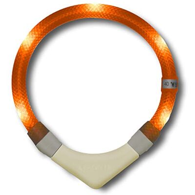 LEUCHTIE ® Plus NL Leuchthalsband Hund batteriebetrieben, nachleuchtend phosphoreszierendes Batterieteil, wasserdichtes LED Halsband, 100h Leuchtdauer, enorm hell, Sunset-orange Größe 47,5 LEUCHTIE ® Plus NL Leuchthalsband Hund batteriebetrieben, nachleuchtend phosphoreszierendes Batterieteil, wasserdichtes LED Halsband, 100h Leuchtdauer, enorm hell, Sunset-orange Größe 47,5