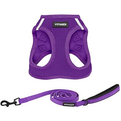Best Pet Supplies Voyager Step-in Air, Allwetter-Mesh-Geschirr und reflektierender Hund, 1,52 m, Kombination mit Neopren-Griff, für kleine, mittelgroße und große Welpen, Violett, Größe M Best Pet Supplies Voyager Step-in Air, Allwetter-Mesh-Geschirr und reflektierender Hund, 1,52 m, Kombination mit Neopren-Griff, für kleine, mittelgroße und große Welpen, Violett, Größe M