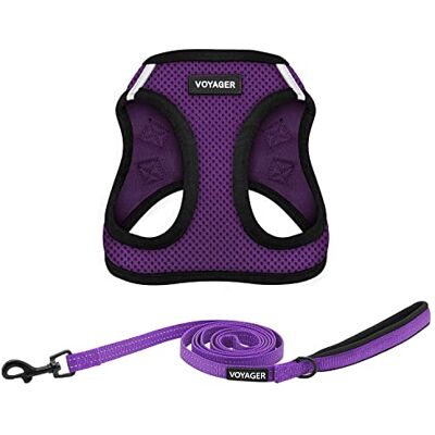 Best Pet Supplies Voyager Step-in-Air Allwetter-Netzgeschirr und reflektierende Hunde-Leine, Kombination mit Neoprengriff, für kleine, mittelgroße und große Welpen, von – Violett/schwarzer Rand, XXS Best Pet Supplies Voyager Step-in-Air Allwetter-Netzgeschirr und reflektierende Hunde-Leine, Kombination mit Neoprengriff, für kleine, mittelgroße und große Welpen, von – Violett/schwarzer Rand, XXS