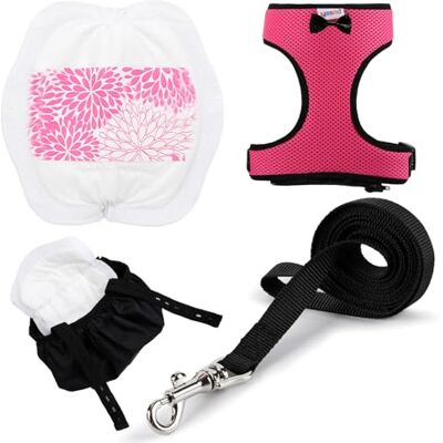 Yesito Hühner-Geschirr mit passender Leine (1,8 m), verstellbar, belastbar, bequem, atmungsaktiv, groß, geeignet für Hühner mit einem Gewicht von ca. 3 kg, Rosa Yesito Hühner-Geschirr mit passender Leine (1,8 m), verstellbar, belastbar, bequem, atmungsaktiv, groß, geeignet für Hühner mit einem Gewicht von ca. 3 kg, Rosa