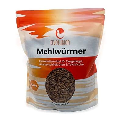eivolution Getrocknete Mehlwürmer 500g Hochwertige und Natürliche Protein- und Energiequelle für Igel, Reptilien und Aquaristik eivolution Getrocknete Mehlwürmer 500g Hochwertige und Natürliche Protein- und Energiequelle für Igel, Reptilien und Aquaristik