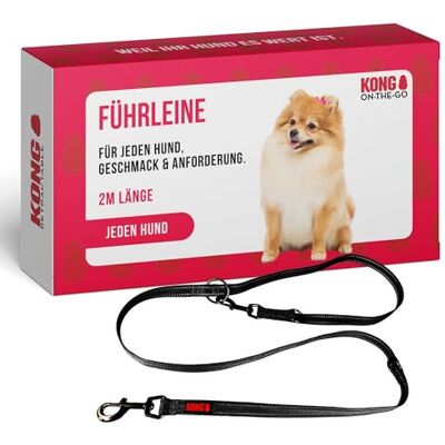 KONG robuste Hundeleine aus Nylon I schwarz I dreifach verstellbare Leine Hund I hochwertige Hundeführleine mit reflektierenden Elementen I Führleine Hund I Länge: 2 m I Breite: 25 mm KONG robuste Hundeleine aus Nylon I schwarz I dreifach verstellbare Leine Hund I hochwertige Hundeführleine mit reflektierenden Elementen I Führleine Hund I Länge: 2 m I Breite: 25 mm