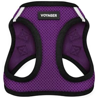 Best Pet Supplies Voyager Step-In Air Hundegeschirr, Allwetter-Netzgewebe, reflektierend, kein Ziehen, kleine, mittelgroße Hunde, Katzen, sicher mit Klettverschluss, Schnalle, Doppel-D-Ringe, Lila/Schwarzer Rand XXS Best Pet Supplies Voyager Step-In Air Hundegeschirr, Allwetter-Netzgewebe, reflektierend, kein Ziehen, kleine, mittelgroße Hunde, Katzen, sicher mit Klettverschluss, Schnalle, Doppel-D-Ringe, Lila/Schwarzer Rand XXS