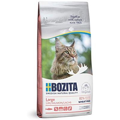 Bozita Large Weizenfrei Lachs – 2 kg Trockenfutter für große Katzenrassen – weizenfreies Katzenfutter mit 31 % Protein & 18 % Fett – für sensible Katzen – ohne Zucker & Gentechnik Bozita Large Weizenfrei Lachs – 2 kg Trockenfutter für große Katzenrassen – weizenfreies Katzenfutter mit 31 % Protein & 18 % Fett – für sensible Katzen – ohne Zucker & Gentechnik
