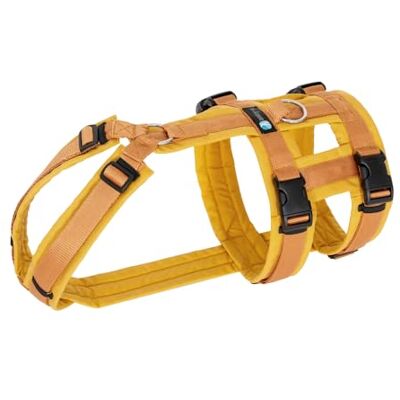 anny-x Brustgeschirr Safety Fun Goldglöckchen Ausbruchsicheres Hundegeschirr mit Taillengurt Größe S (Brustumfang 52-64 cm) anny-x Brustgeschirr Safety Fun Goldglöckchen Ausbruchsicheres Hundegeschirr mit Taillengurt Größe S (Brustumfang 52-64 cm)