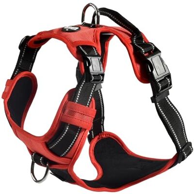Bobby Rando Walk Hundegeschirr Größe XS, aus reflektierendem Nylon, verstellbare Schnallen mit sicherem Verschluss, einfach zu tragen, Rot Rundhalsausschnitt 20-32 cm, Brustumfang 36-43 cm Bobby Rando Walk Hundegeschirr Größe XS, aus reflektierendem Nylon, verstellbare Schnallen mit sicherem Verschluss, einfach zu tragen, Rot Rundhalsausschnitt 20-32 cm, Brustumfang 36-43 cm