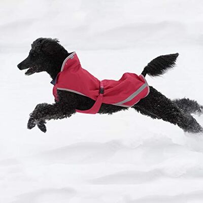 Bucas Freedom Dog Rug 50g Persian Red Hundedecke Bucas Freedom Dog Rug 50g Persian Red Hundedecke