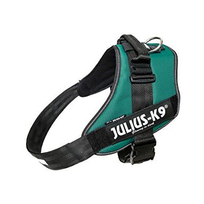 Julius K9 Wassergrün Ergonomisches Bequemer Robuster Geschirr - Harness Julius K9 Wassergrün Ergonomisches Bequemer Robuster Geschirr - Harness