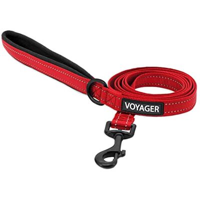 Best Pet Supplies Voyager Reflektierende Hundeleine mit Neopren-Griff, 1,5 m lang, unterstützt kleine, mittelgroße und große Rassen, Training – Rot, M, Leine (1,9 cm x 1,5 m) (LS015-RDW-M) Best Pet Supplies Voyager Reflektierende Hundeleine mit Neopren-Griff, 1,5 m lang, unterstützt kleine, mittelgroße und große Rassen, Training – Rot, M, Leine (1,9 cm x 1,5 m) (LS015-RDW-M)
