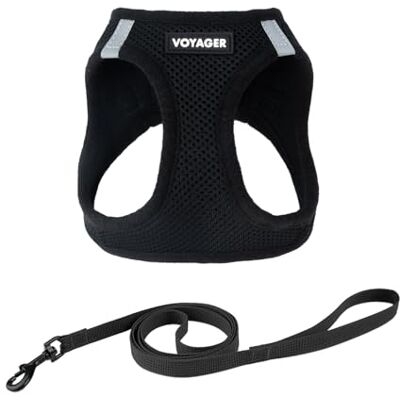 Best Pet Supplies Voyager Step-in-Air Hundegeschirr, Allwetter-Netzgewebe, reflektierend, kein Ziehen, Geschirr für kleine mittelgroße Hunde, Katzen Sicher mit Klettverschluss Schnalle, Doppel-D-Ringe Schwarz, XXS Best Pet Supplies Voyager Step-in-Air Hundegeschirr, Allwetter-Netzgewebe, reflektierend, kein Ziehen, Geschirr für kleine mittelgroße Hunde, Katzen Sicher mit Klettverschluss Schnalle, Doppel-D-Ringe Schwarz, XXS