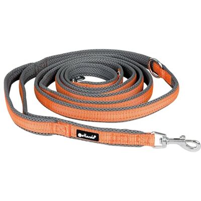 Petlando Hundeleine Outdoor mit Sicherheitsgriff, Orange, 300x1,5cm Für kleine Hunde, 3-fach verstellbare Führleine, reflektierend, weiche Mesh-Polsterung, starke Karabiner, Umhängeleine Petlando Hundeleine Outdoor mit Sicherheitsgriff, Orange, 300x1,5cm Für kleine Hunde, 3-fach verstellbare Führleine, reflektierend, weiche Mesh-Polsterung, starke Karabiner, Umhängeleine