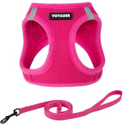Best Pet Supplies Voyager Step-in Air Geschirr, Allwetter-Netzgewebe, reflektierend, kein Ziehen, für Hunde, Katzen, Klettverschluss-Schnalle, Doppel-D-Ringe, XXS, Fuchsenfarben Best Pet Supplies Voyager Step-in Air Geschirr, Allwetter-Netzgewebe, reflektierend, kein Ziehen, für Hunde, Katzen, Klettverschluss-Schnalle, Doppel-D-Ringe, XXS, Fuchsenfarben