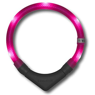 LEUCHTIE ® Plus Leuchthalsband Hund batteriebetrieben, wasserdichtes LED Halsband, Hundehalsband Leuchtend mit 100 h Leuchtdauer, enorm hell, hotpink Größe 35 LEUCHTIE ® Plus Leuchthalsband Hund batteriebetrieben, wasserdichtes LED Halsband, Hundehalsband Leuchtend mit 100 h Leuchtdauer, enorm hell, hotpink Größe 35