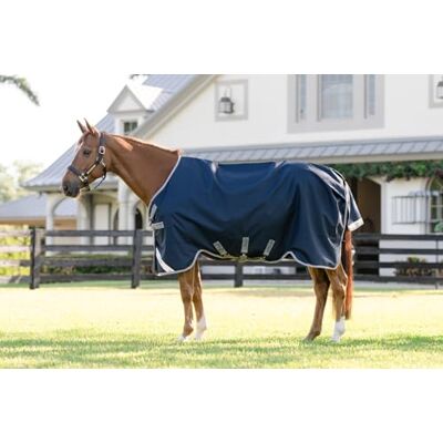 Horseware Amigo 1200D Turnout 250g, 155, Navy/Titanium Grey&Silver Horseware Amigo 1200D Turnout 250g, 155, Navy/Titanium Grey&Silver