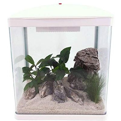 AquaOne Aquarium Komplettset LED mit Pumpe HR-300 weiß I Kleines Nanoaquarium 14 Liter I Mini Nano Becken Set für Fische und Garnelen AquaOne Aquarium Komplettset LED mit Pumpe HR-300 weiß I Kleines Nanoaquarium 14 Liter I Mini Nano Becken Set für Fische und Garnelen